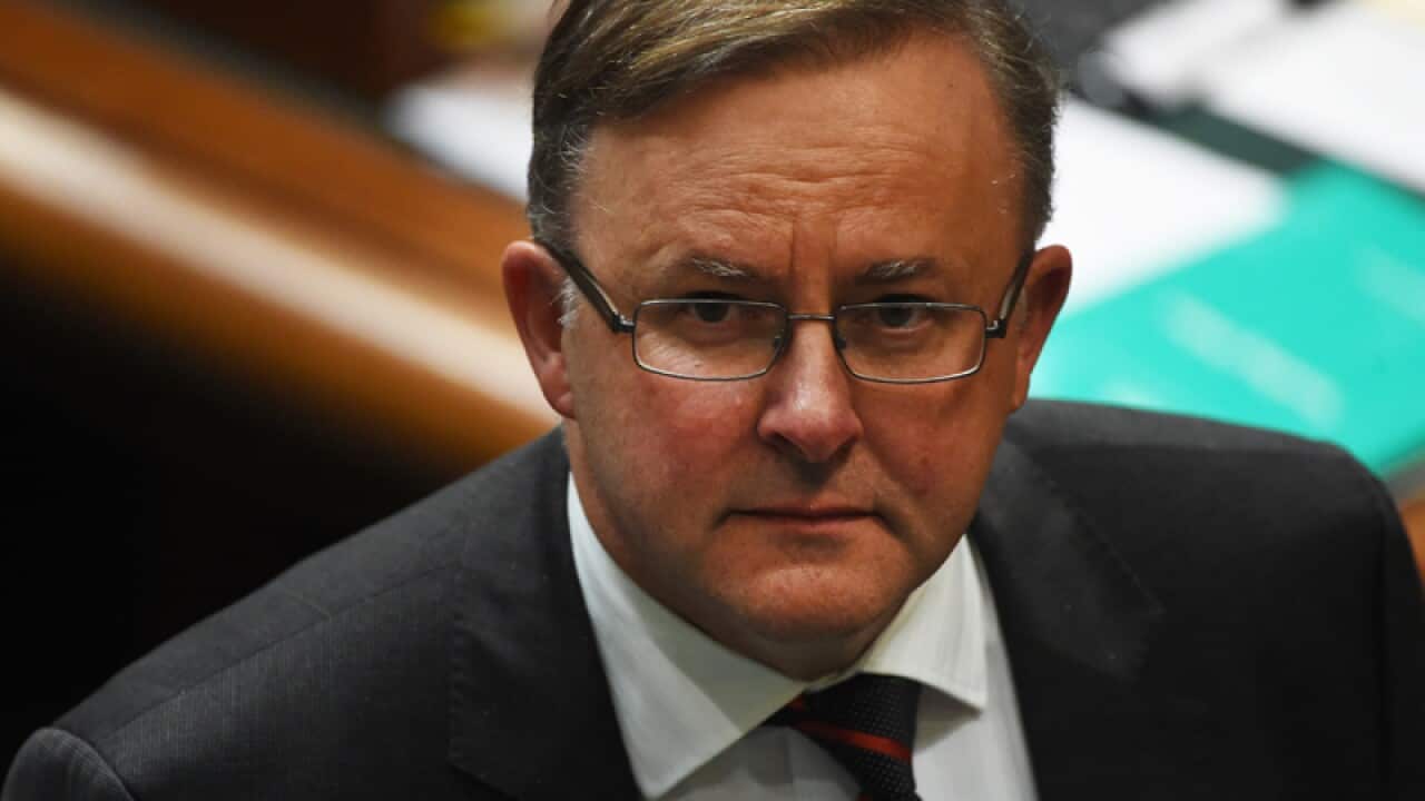 Labor frontbencher Anthony Albanese