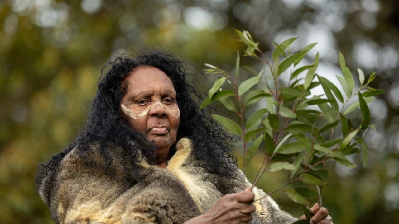 Stolen Generations survivor Rita Wright depicts her journey at a commemorative event in Sydney (AAP).