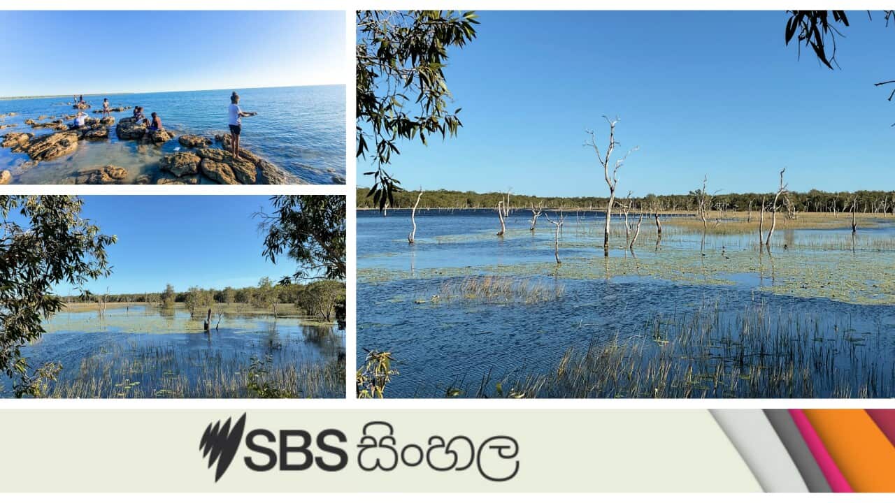 ARB Image - Mornington Island _ QLD 30 June 2023.jpg