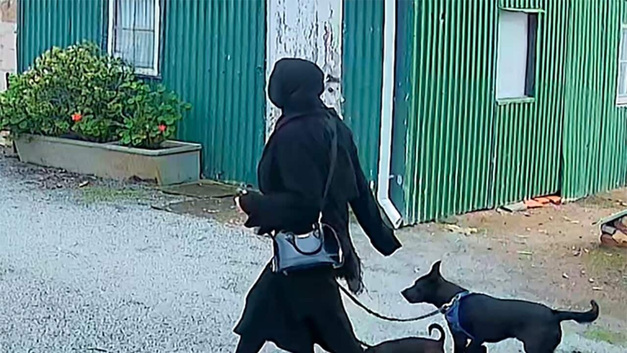 Image for read more article ''