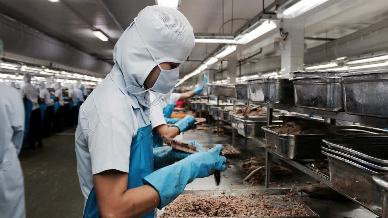 Worker handling seafood.