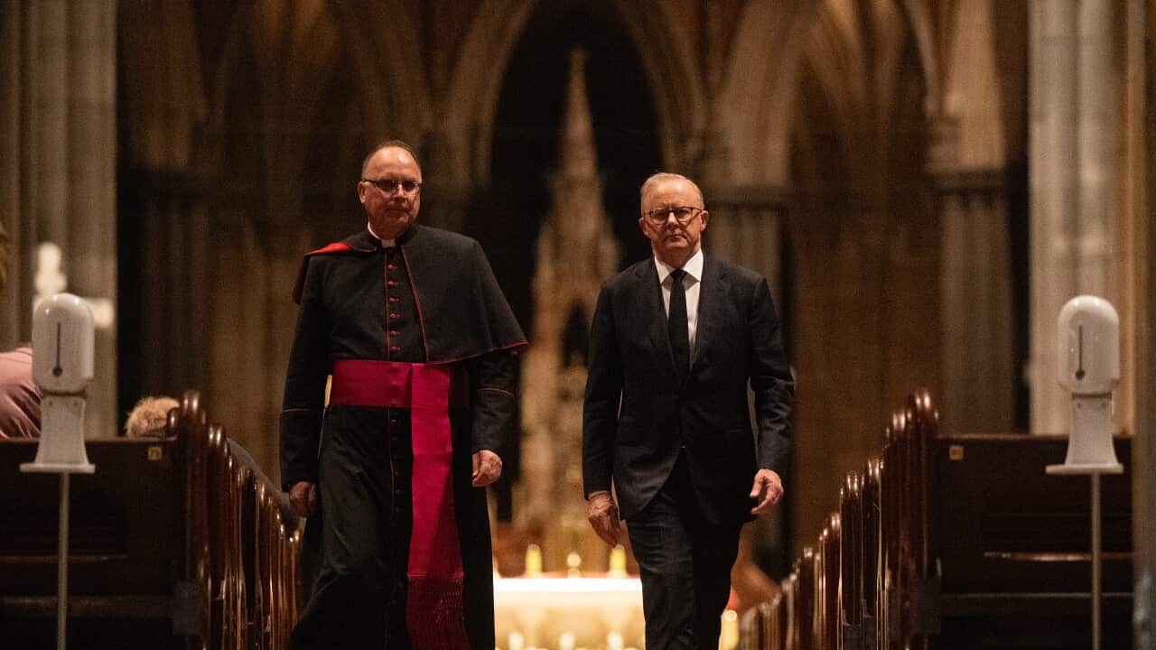 ELECTION25 ANTHONY ALBANESE CAMPAIGN