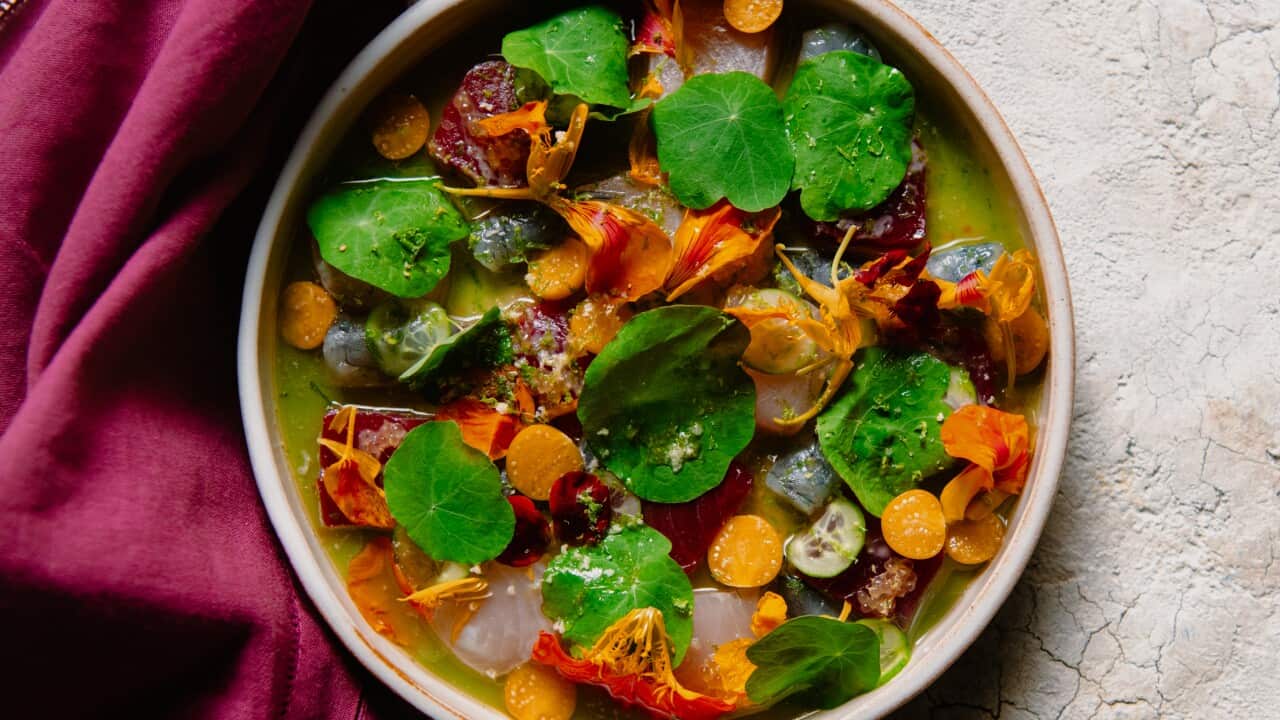 Cured fish with citrus and cucumber