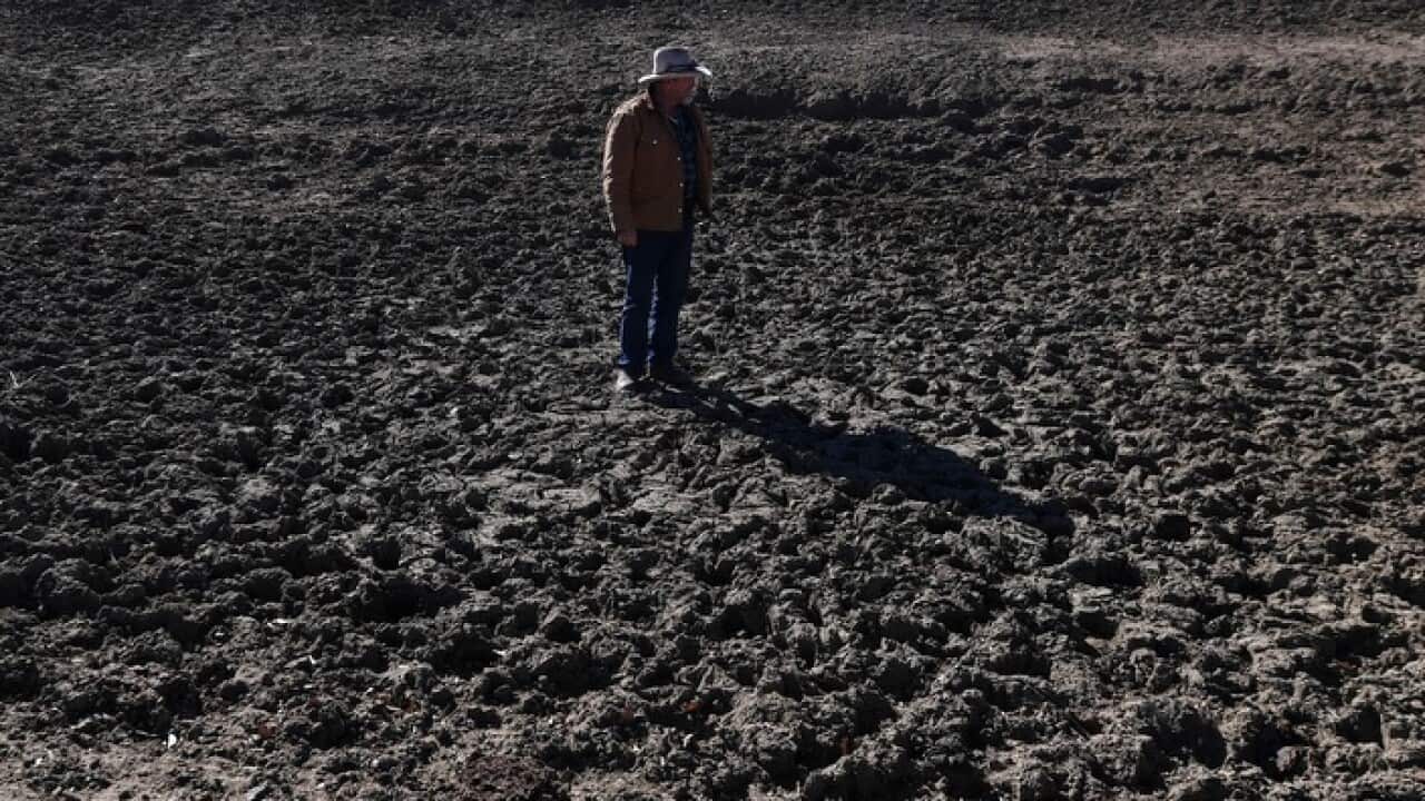 Parched earth on a farm in New South Wales
