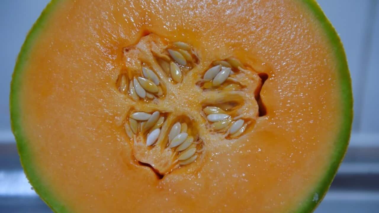 Image for read more article 'Hear the latest stories from SBS Punjabi'