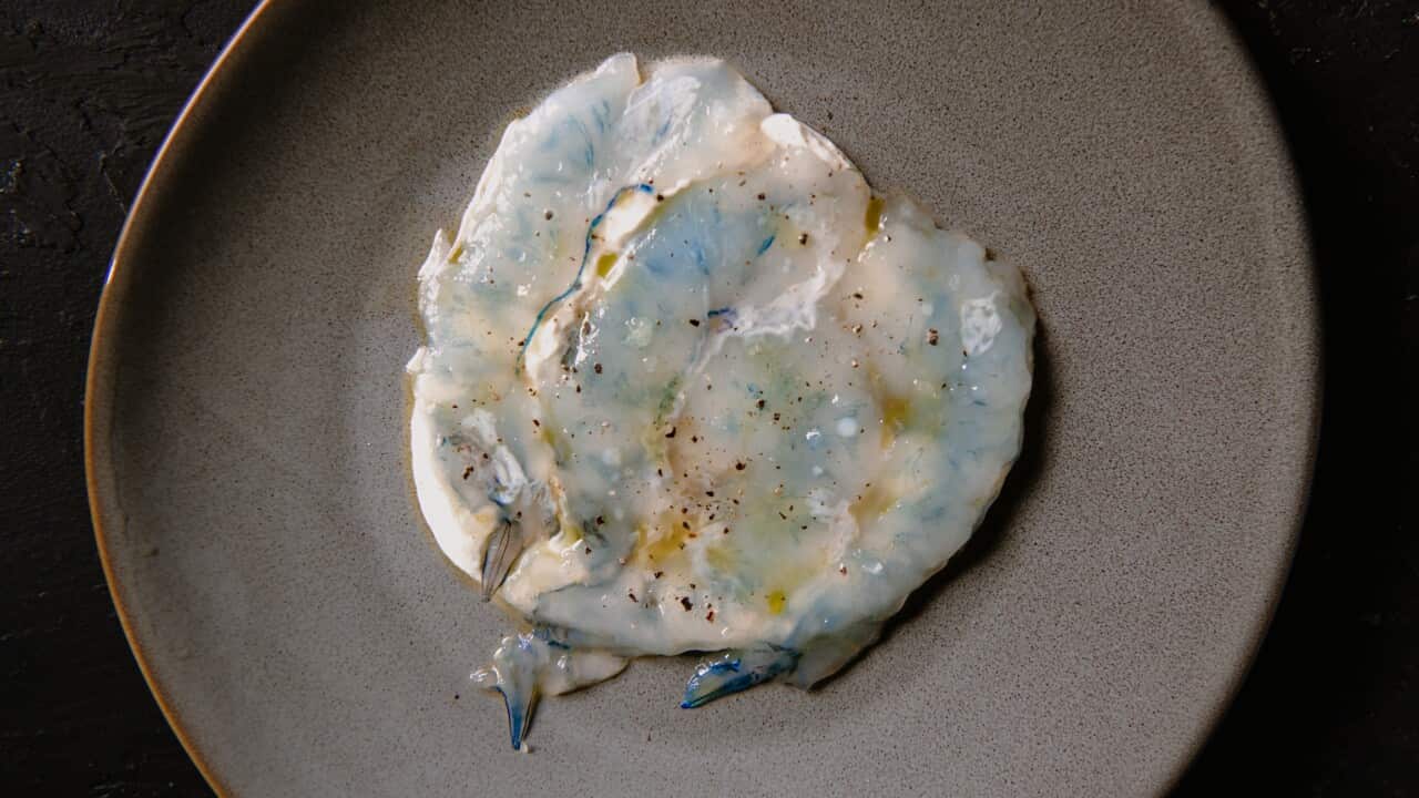 Prawn carpaccio, fig leaf yogurt