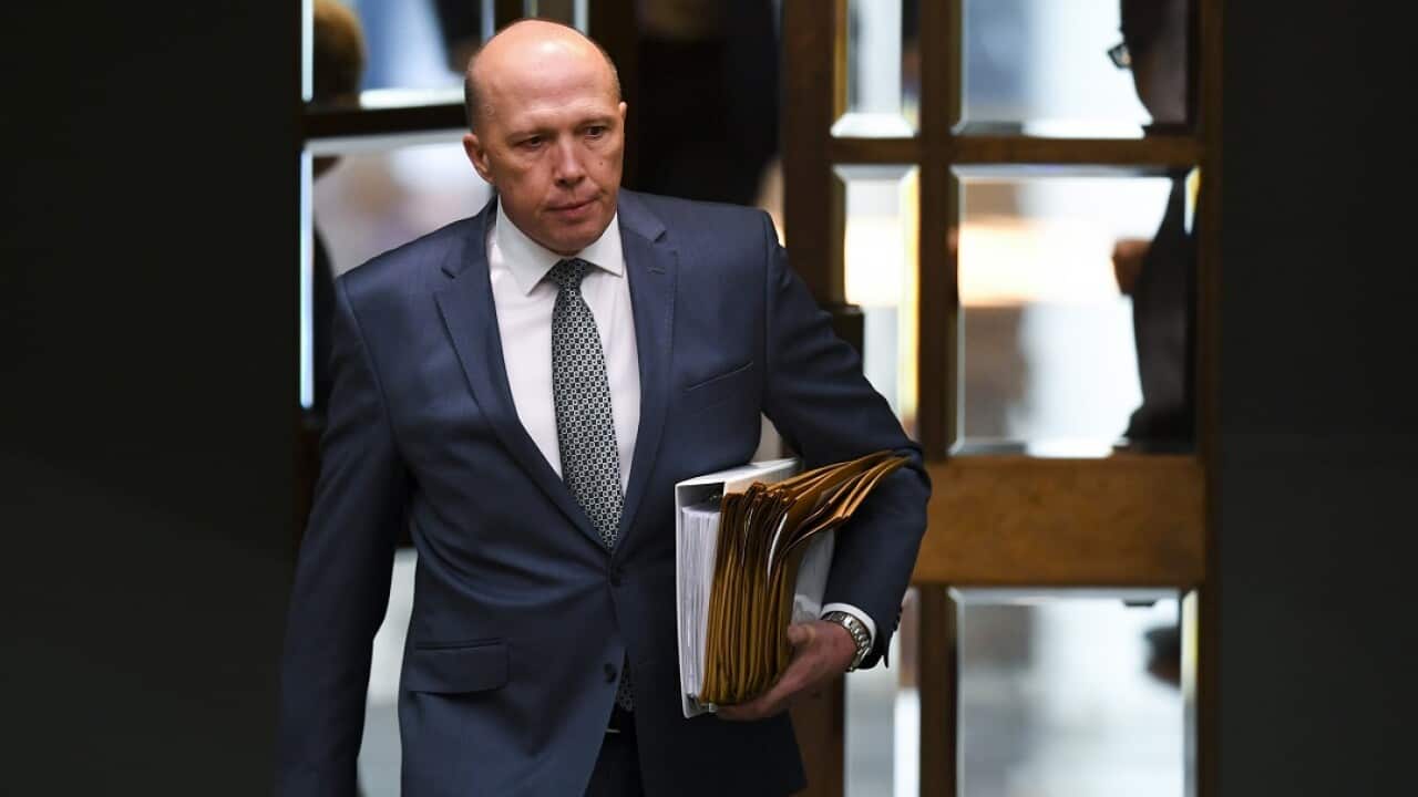 Australian Home Affairs Minister Peter Dutton has spoken out about the granting of a visa at the last minute to a young tourist to stay and work as a nanny.