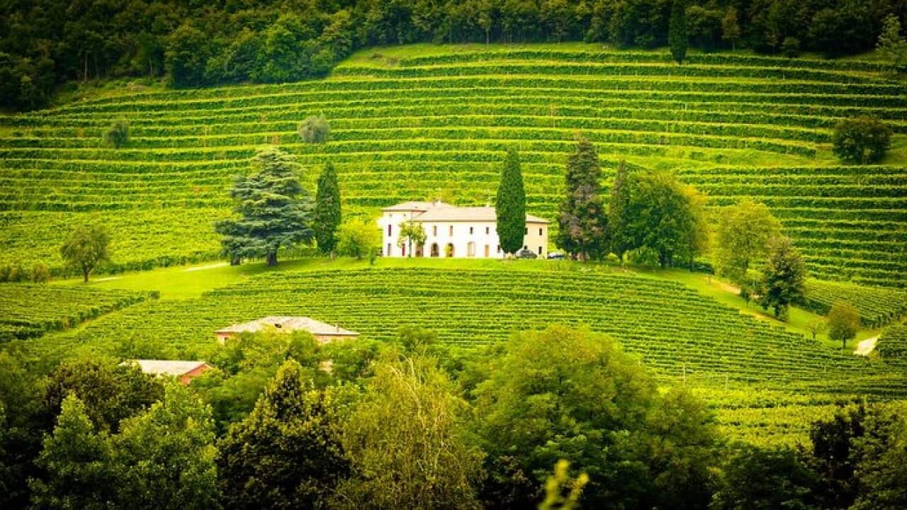 Winery