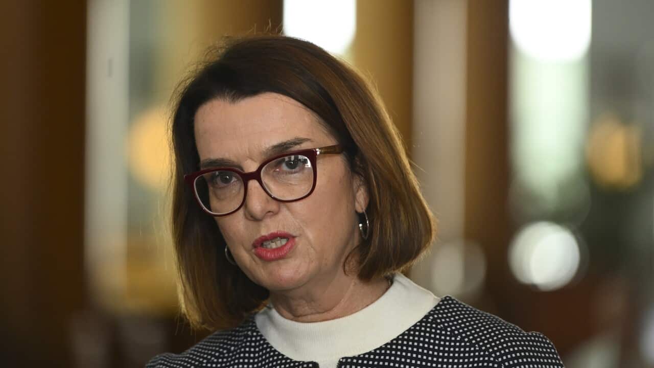 Social Services Minister Anne Ruston.