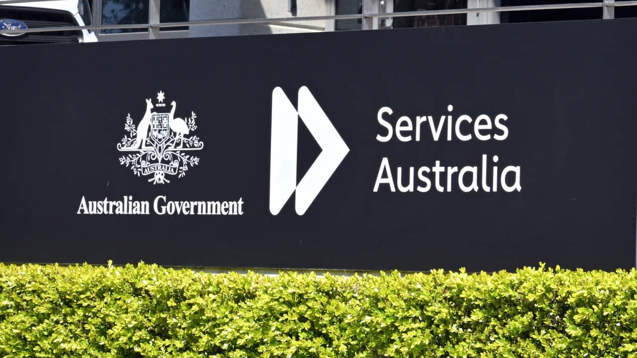 SERVICES AUSTRALIA DEPARTMENT STOCK