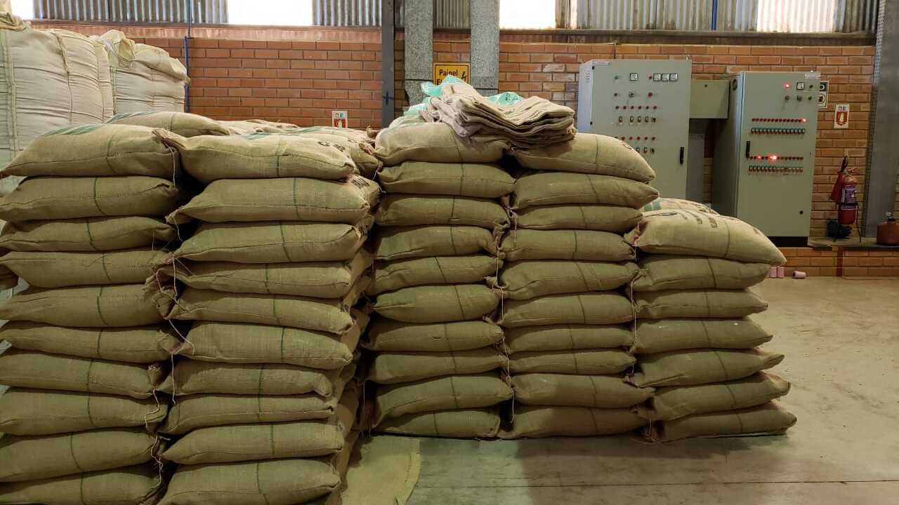 Coffee Bags (Photo by Toshiyuki Ishiwata)