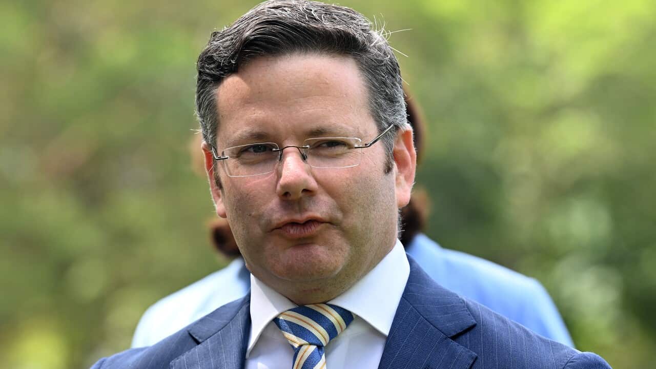 Image for read more article 'اقرأ المزيد'