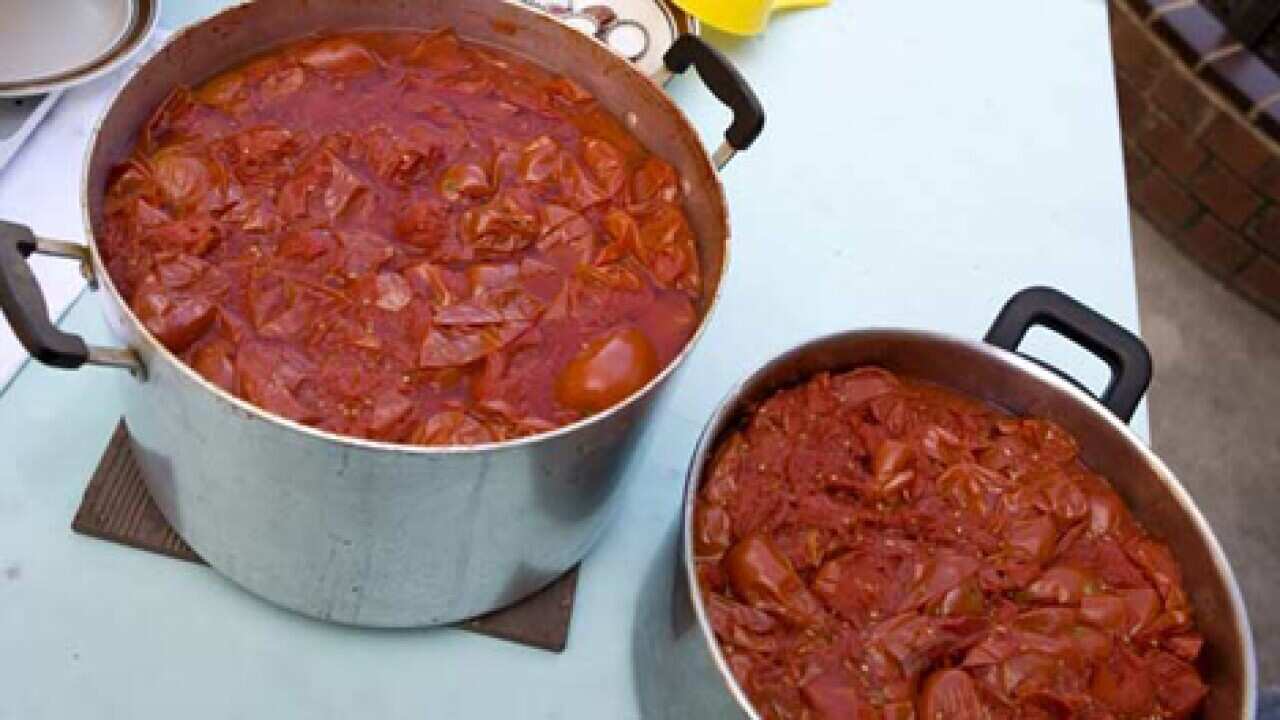 Tomatoe Sauce salsadipomodor