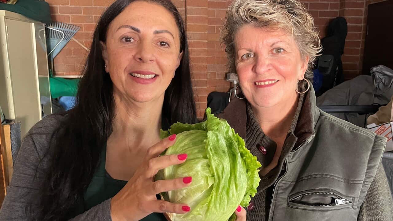 Julie El Bayeh (left) and Box Divvy co-founder Jayne Travers-Drapes