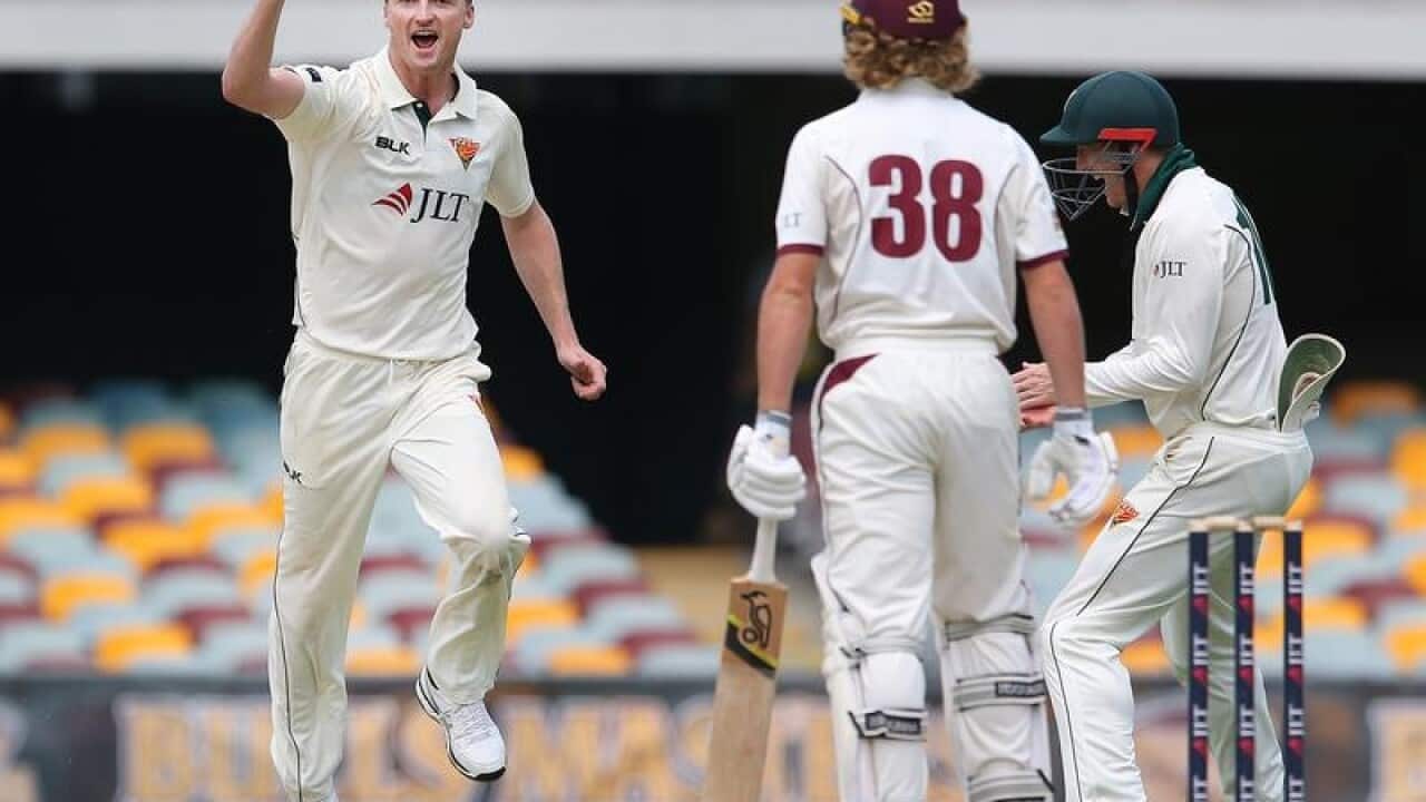 CRICKET SHEFFIELD SHIELD QLD TAS BIRD