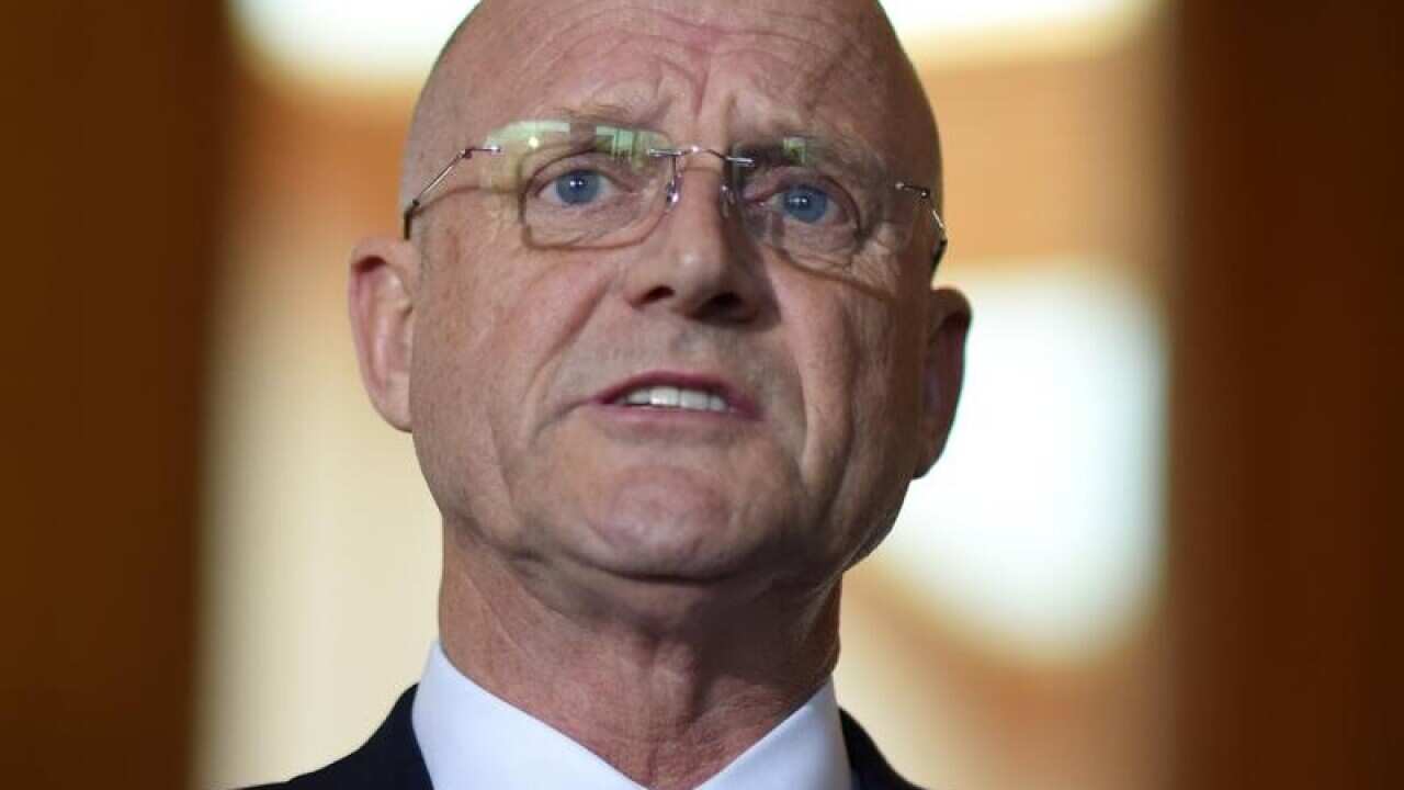 DAVID LEYONHJELM PRESS CONFERENCE