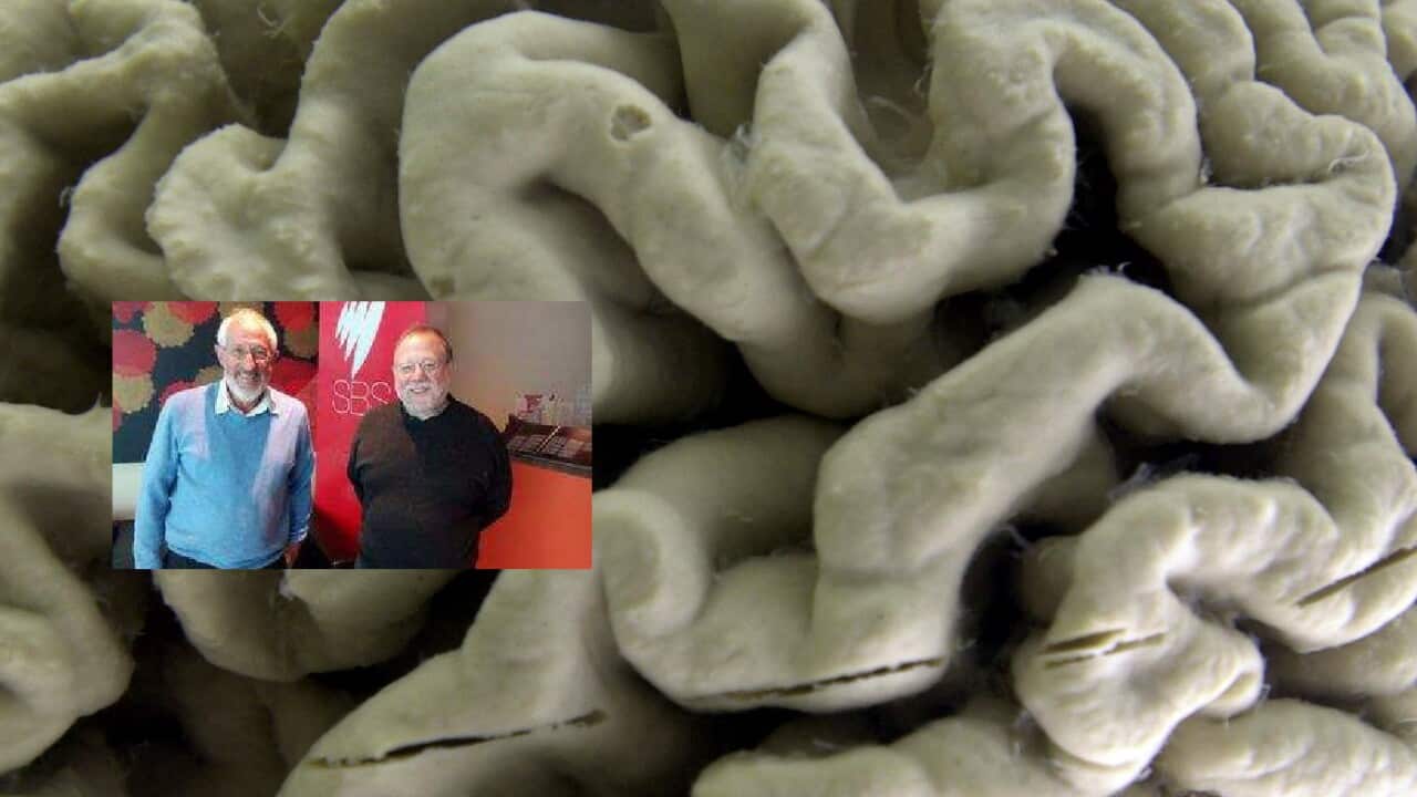 A section of a human brain with Alzheimer's disease & William Rostene & Jacques Epelbaum