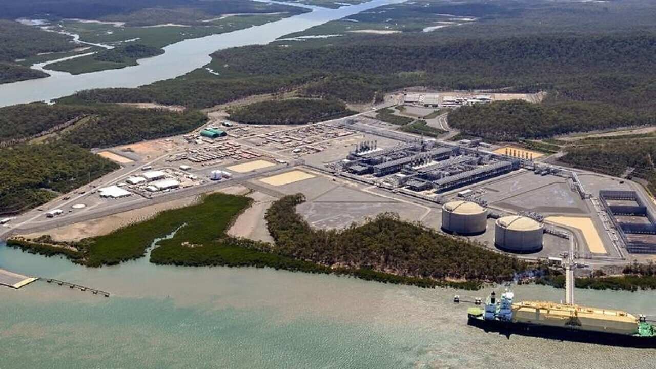 Curtis Island plants in north Queensland