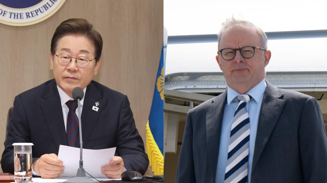 이재명 알바니지 회담 기대.png