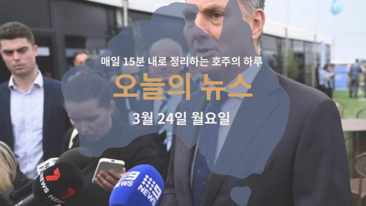 240325 WEB.png