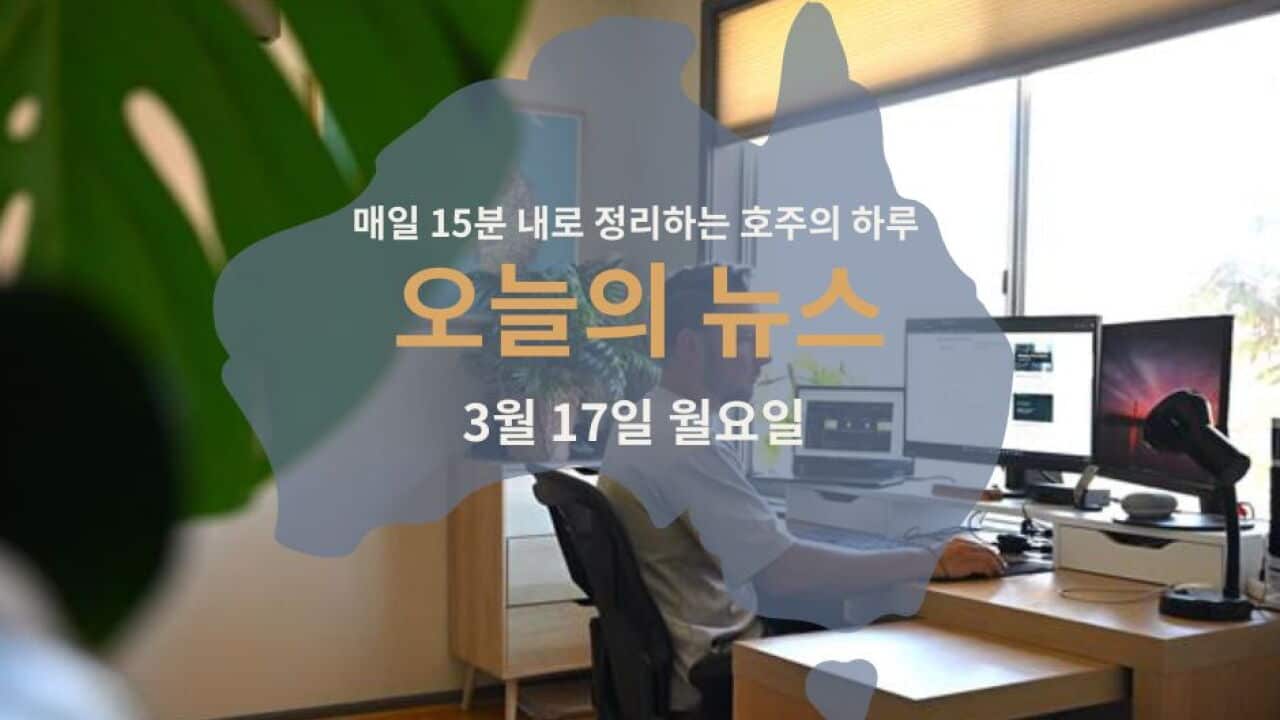 17 03 웹.jpg