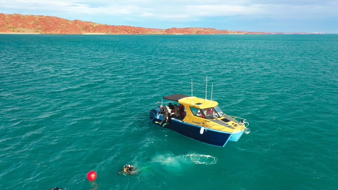The First Inventors. Episode 2. Prof. Jonathan Benjamin and Chris Wilson Diving at Murujuga, WA .jpg