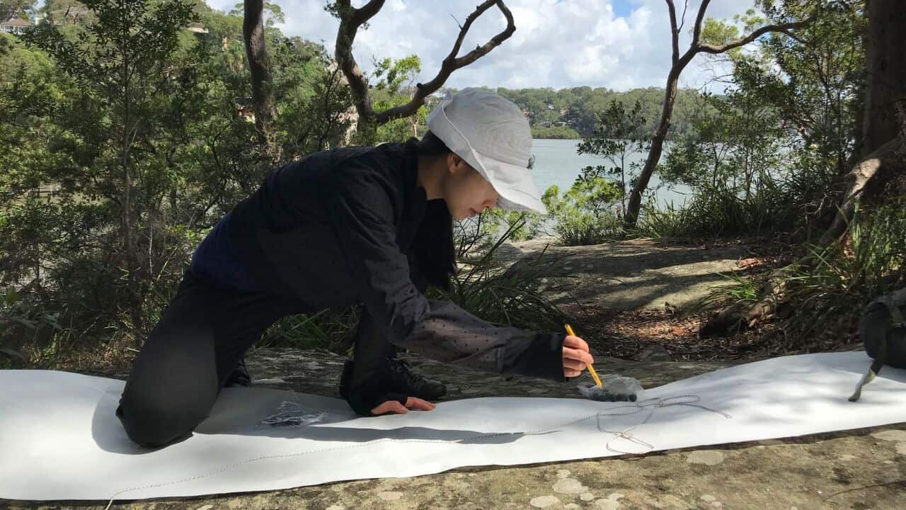 CYZChen Divining Possible Pathways Process Image 3