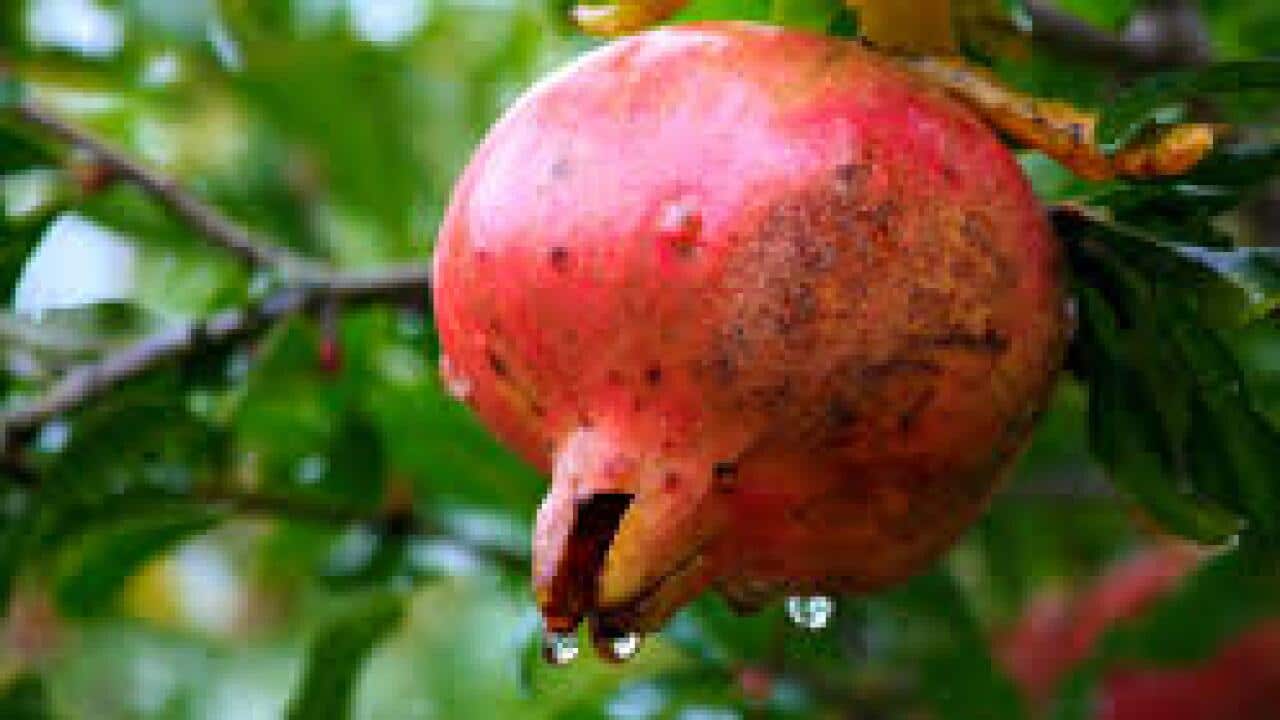 Image for read more article 'READ MORE'