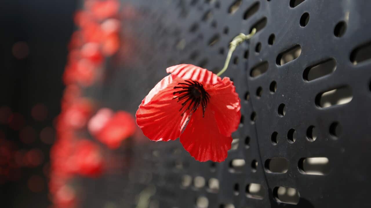 Australians Commemorate Remembrance Day