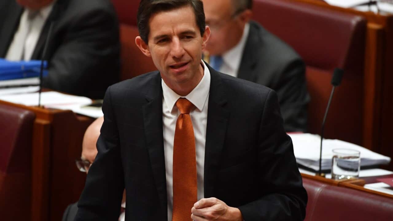 FIle image of Minister for Education Simon Birmingham