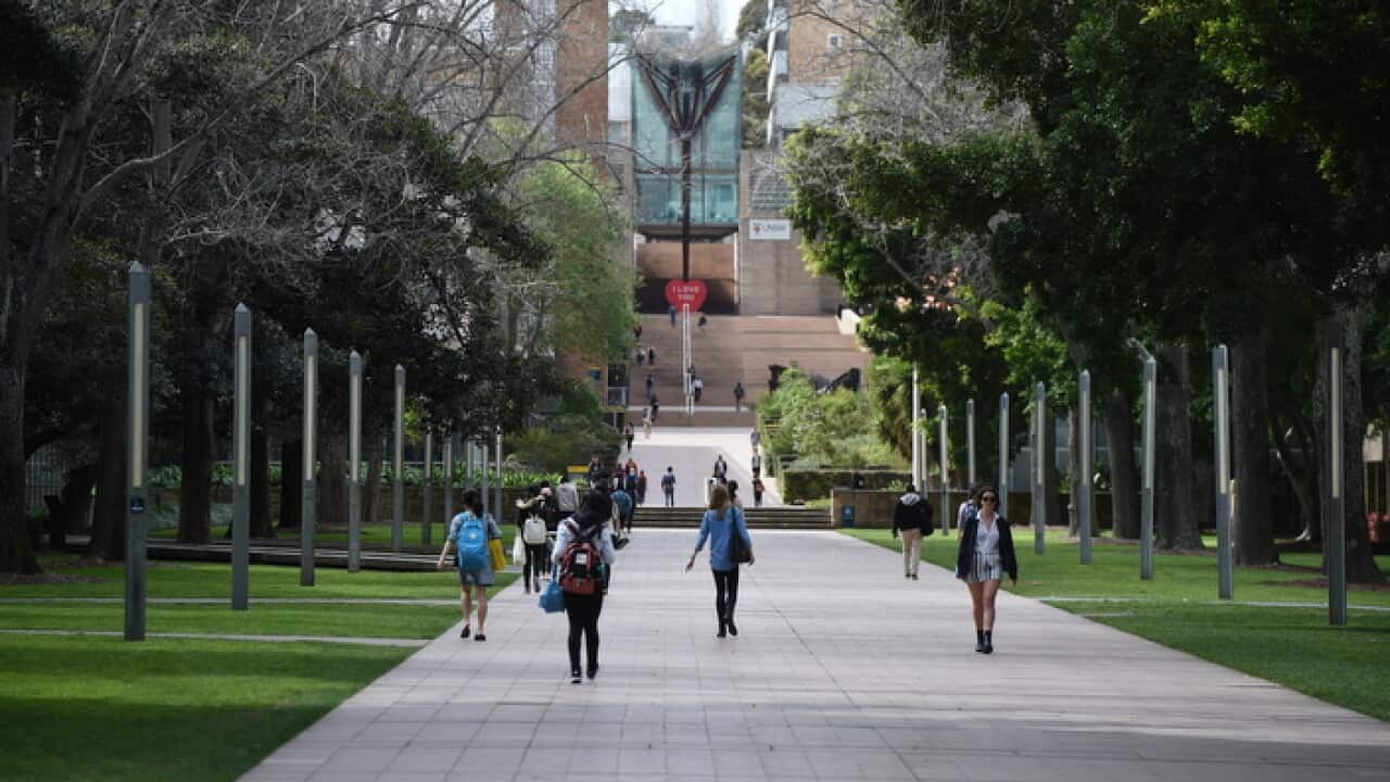 Demands to pay university students doing internships in Australia's critical industries