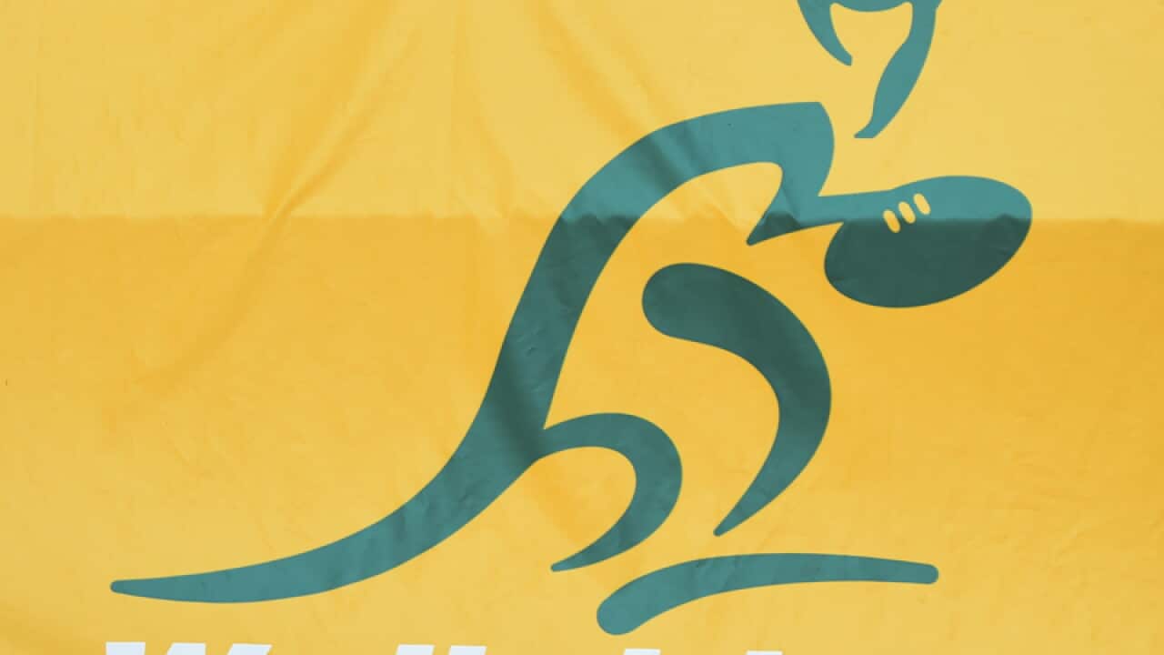The Wallabies logo
