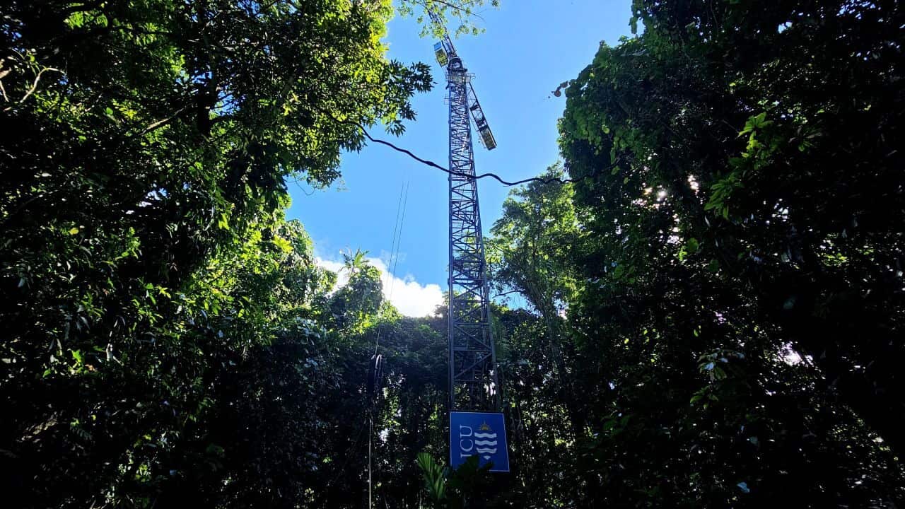 Image 1_DRO crane from below_Credit_JCU.jpg