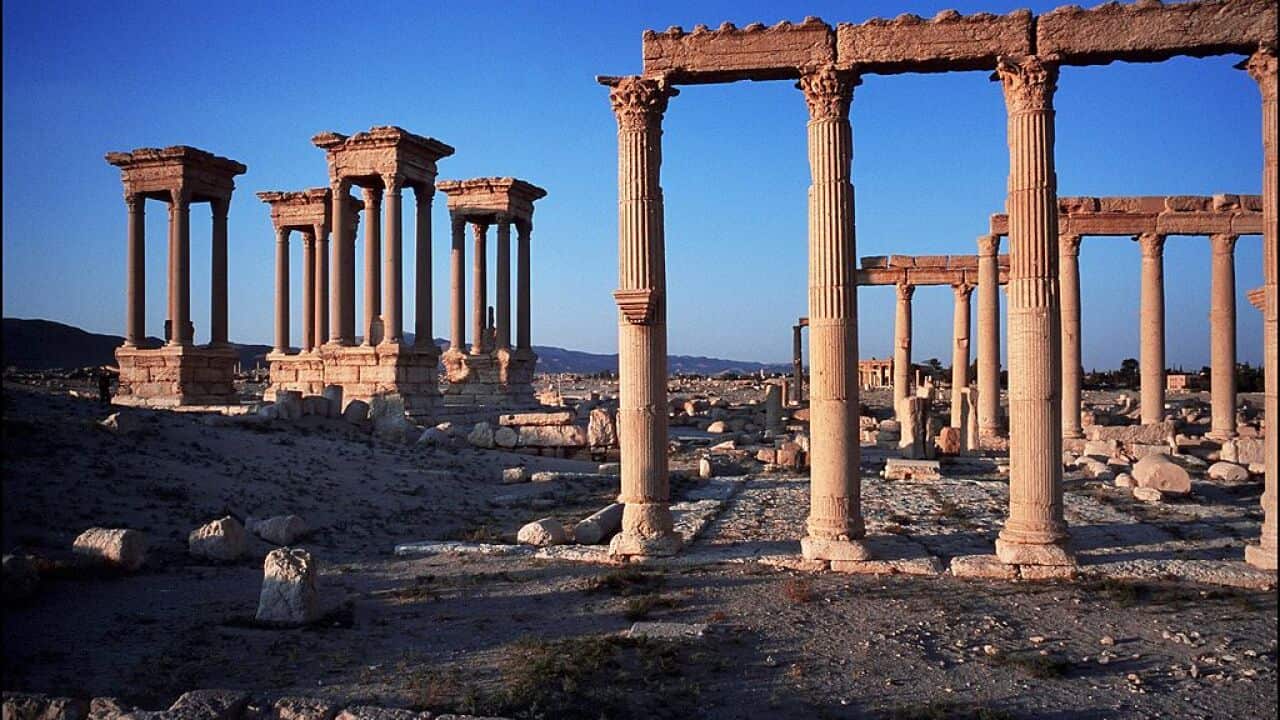 Palmyra