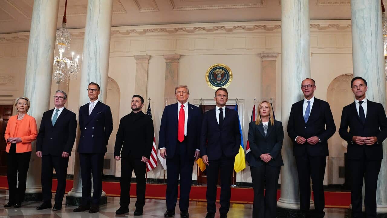 Trump Meets President Zelenskyy of Ukraine and European Leaders