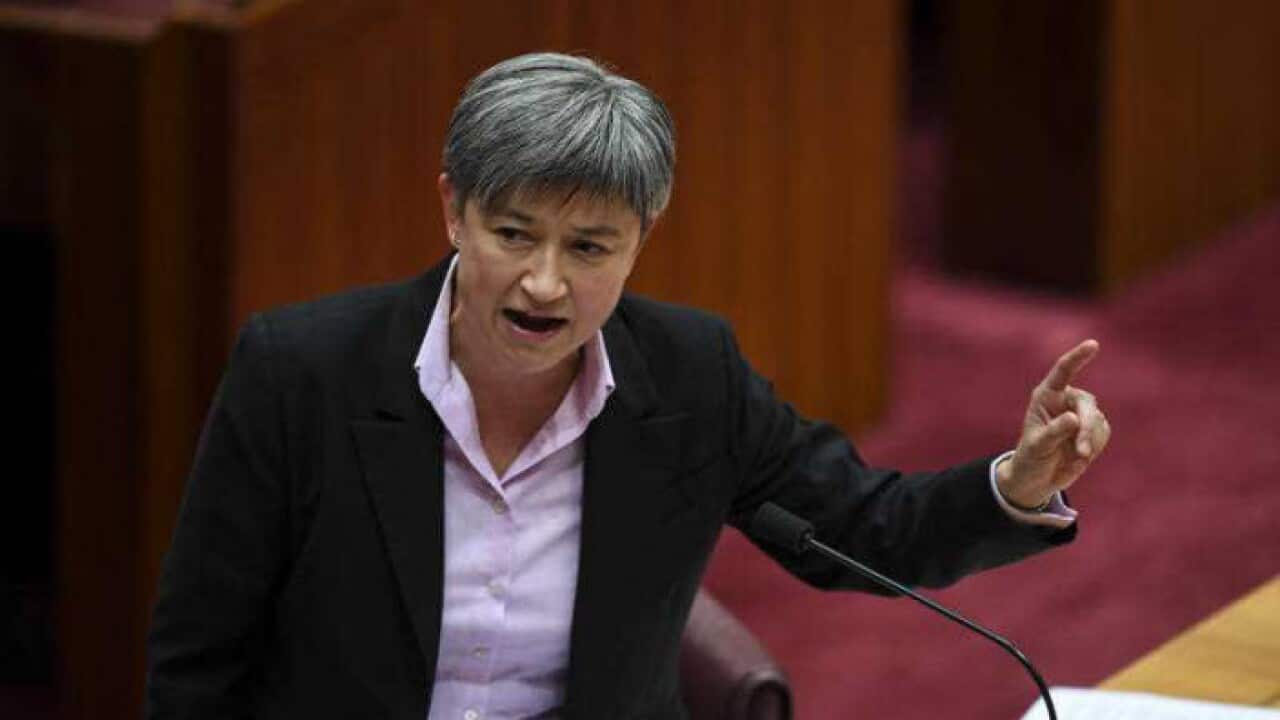 Labor Senator Penny Wong