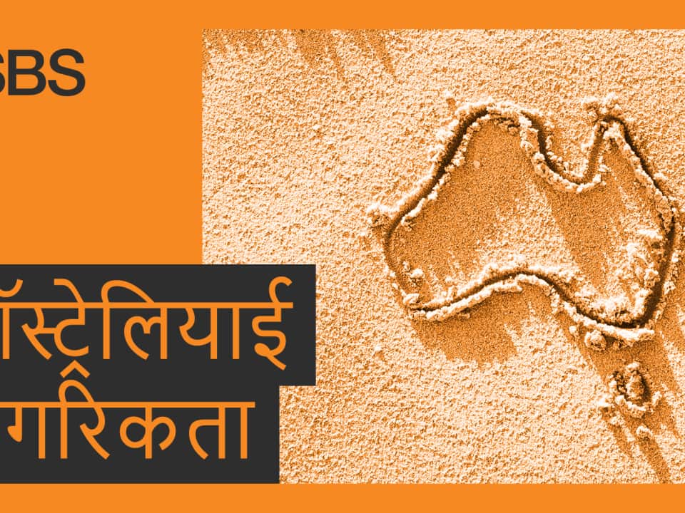 LE_Citizenship_SBS Web Banner_Hindi_v2.png