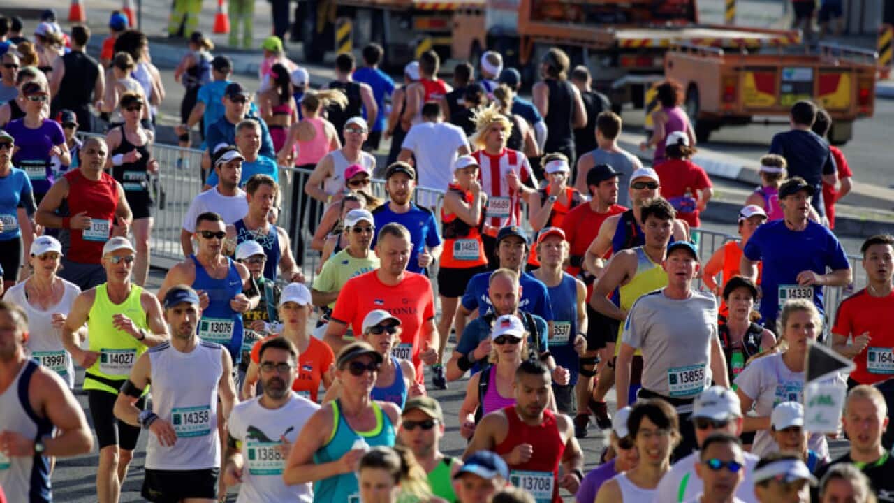 Participants compete in the Sydney Running Festival