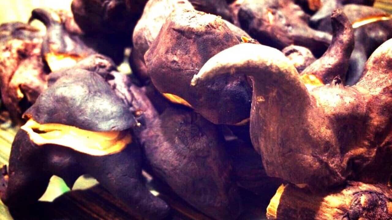 Water chestnut