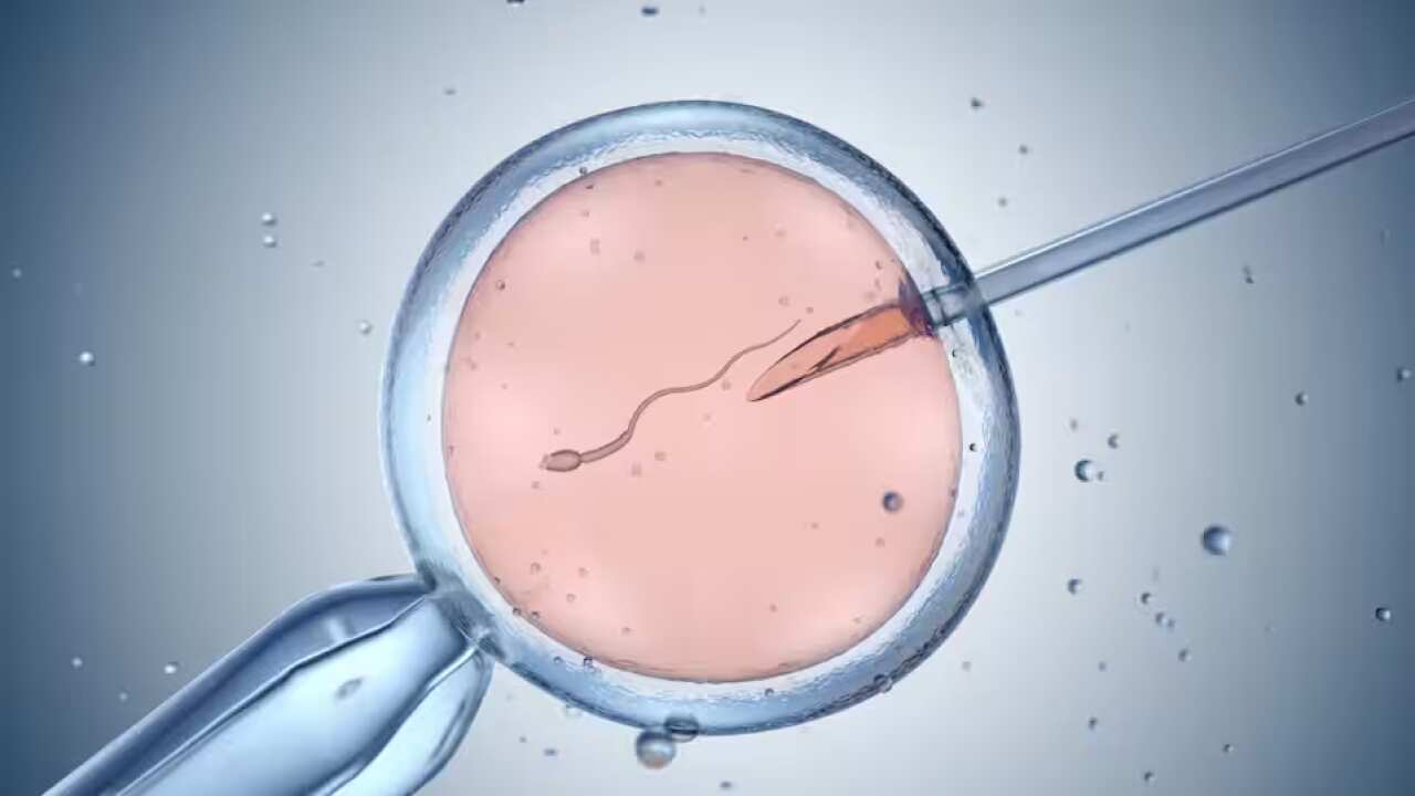 fertilidade.png