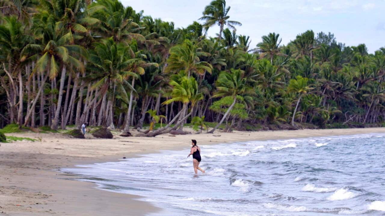 A woman wearing a black swimsuit exits the water at a beach, filled with palm trees in Fiji.
