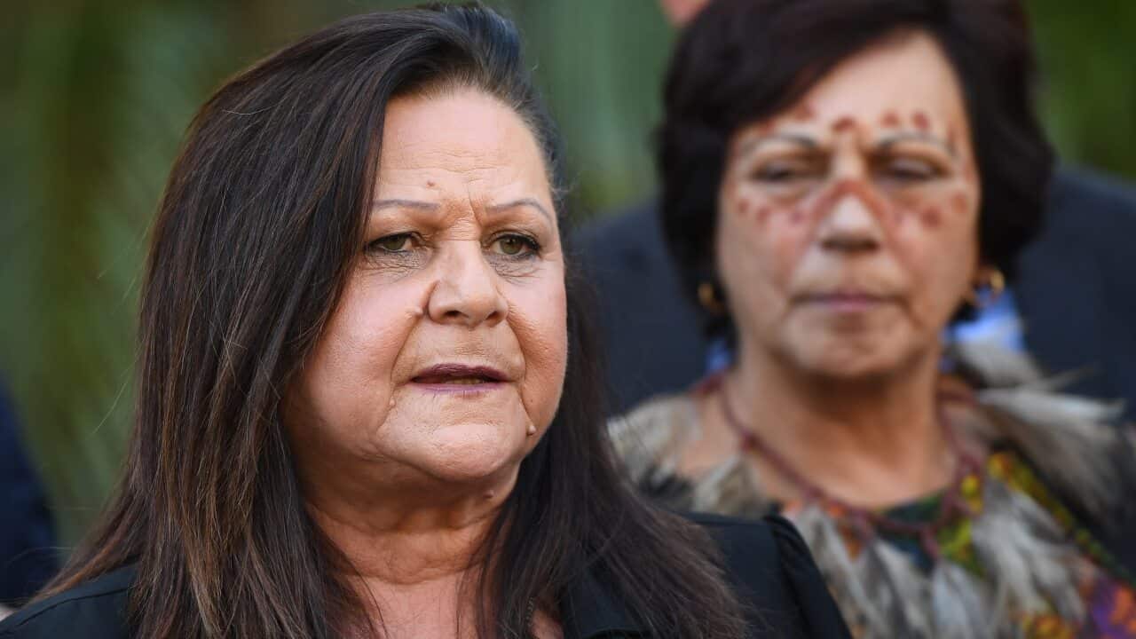 Jill Gallagher, VACCHO ceo