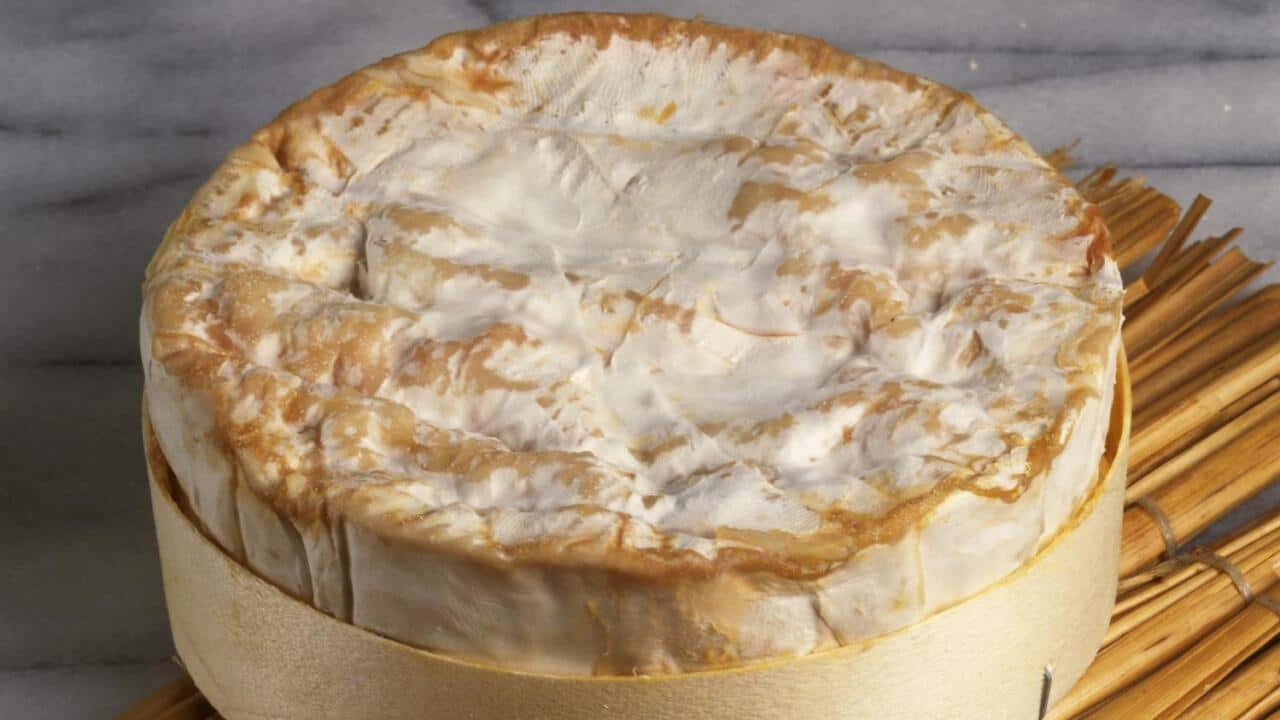 Le camembert français humilié...