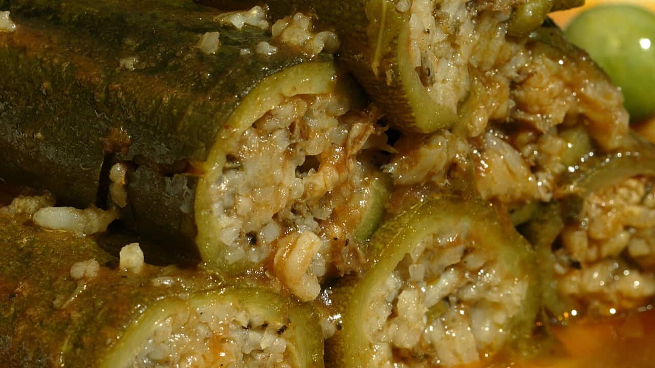 MIDDLE EASTERN FOOD.03. Toronto.09.30.04. RPJ-Middle Eastern stuffed food for Bain story on the Halb