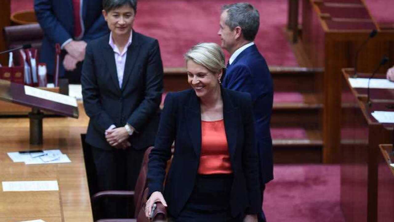Deputy Opposition Leader Tanya Plibersek reacts after missing out on a hand shake with Governor-General Sir Peter Cosgrove during the reopening of Parliament.
