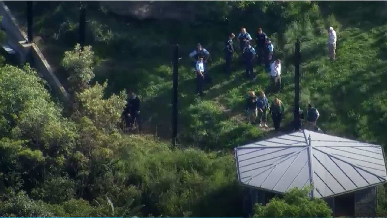 Taronga Zoo lions escaped their enclosure.