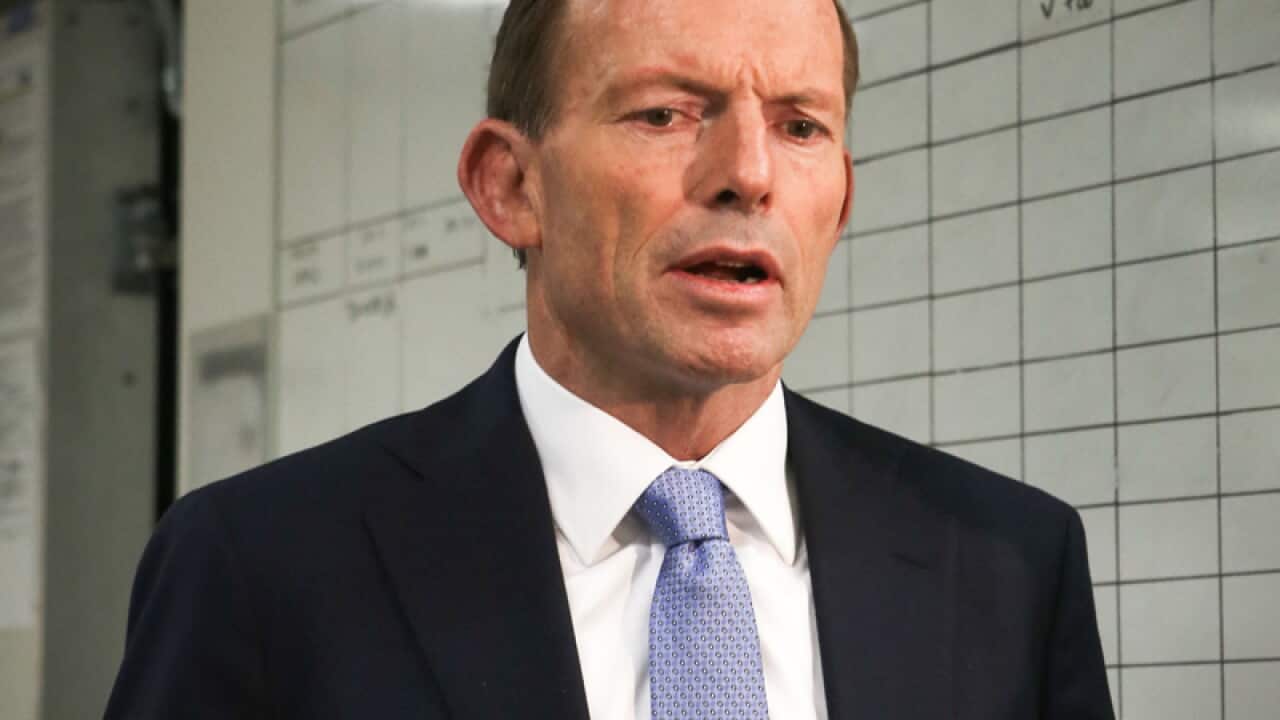 aap_4325_250613m_TonyAbbottCarbonTax_800x600.jpg
