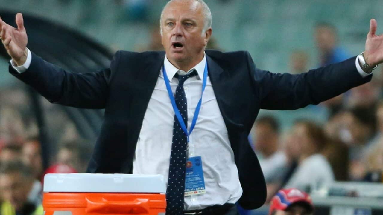 Sydney FC head coach Graham Arnold reacts