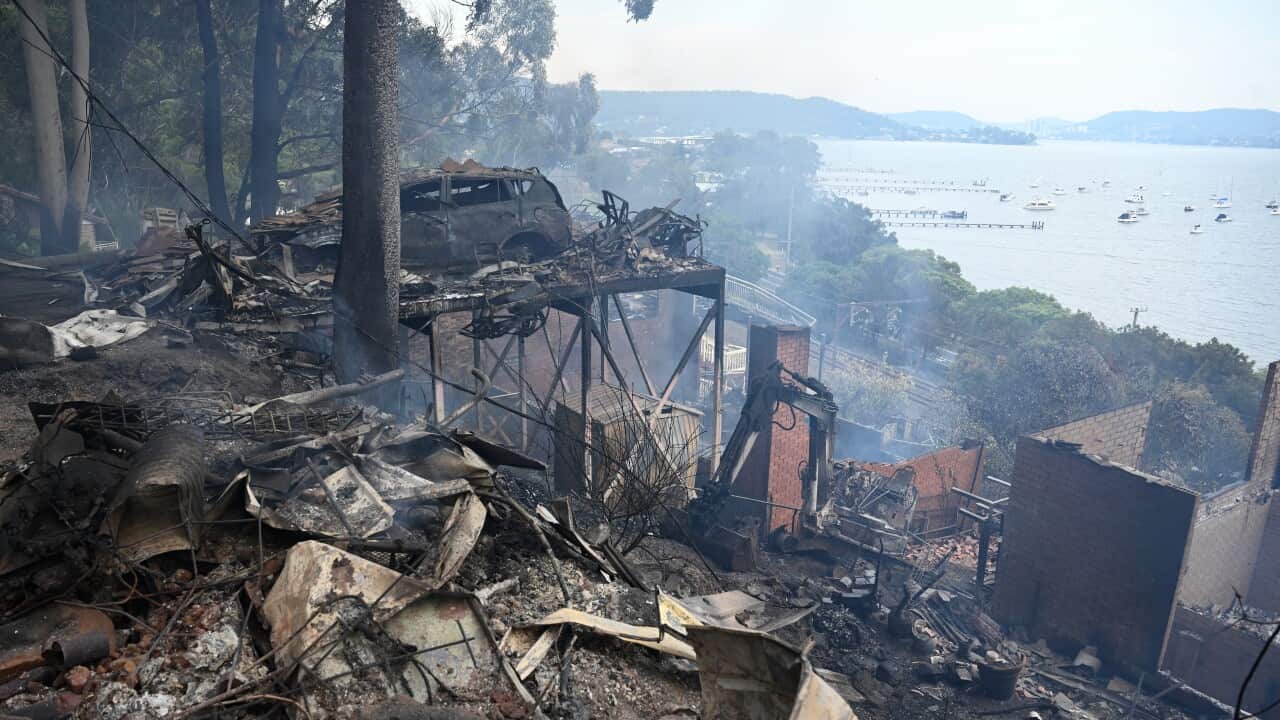 BUSHFIRE CENTRAL COAST