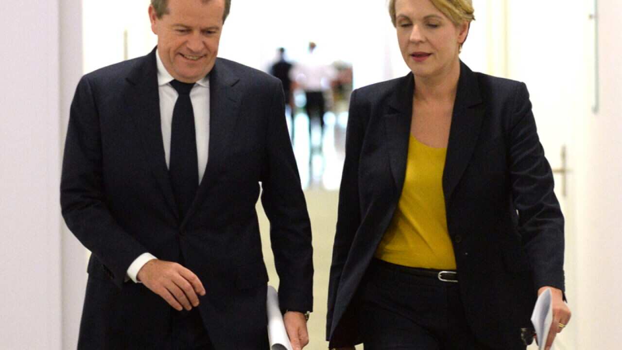 Opposition Leader Bill Shorten and deputy Tanya Plibersek